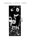 ELECTROCHEMICAL BIOSENSOR diagram and image