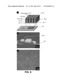 ELECTROCHEMICAL BIOSENSOR diagram and image