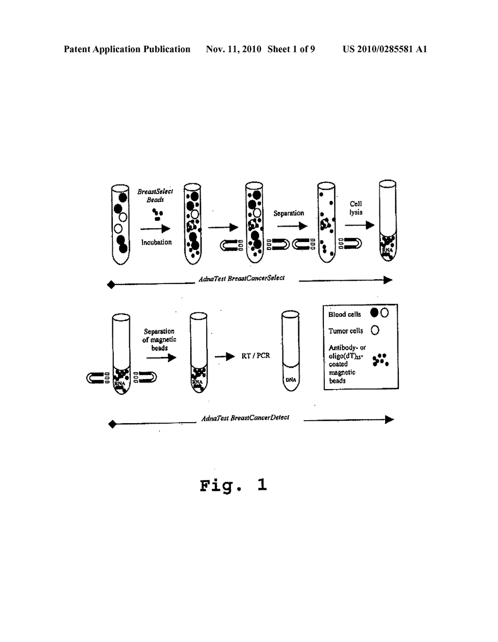 Solid Phase Cell Isolation and/or Enrichment Method - diagram, schematic, and image 02