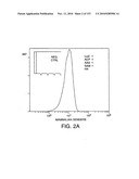 ENGINEERED CELLULAR PATHWAYS FOR PROGRAMMED AUTOREGULATION OF DIFFERENTIATION diagram and image