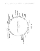 ENGINEERED CELLULAR PATHWAYS FOR PROGRAMMED AUTOREGULATION OF DIFFERENTIATION diagram and image