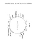 ENGINEERED CELLULAR PATHWAYS FOR PROGRAMMED AUTOREGULATION OF DIFFERENTIATION diagram and image