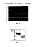 DETECTION OF FRAGMENTS OF NECTIN-1 FOR THE DIAGNOSIS OF ALZHEIMER S DISEASE diagram and image