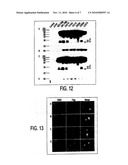 DETECTION OF FRAGMENTS OF NECTIN-1 FOR THE DIAGNOSIS OF ALZHEIMER S DISEASE diagram and image