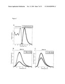 Novel Artificial Base Pairs and Uses Thereof diagram and image