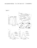 Novel Artificial Base Pairs and Uses Thereof diagram and image