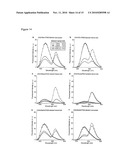 Novel Artificial Base Pairs and Uses Thereof diagram and image