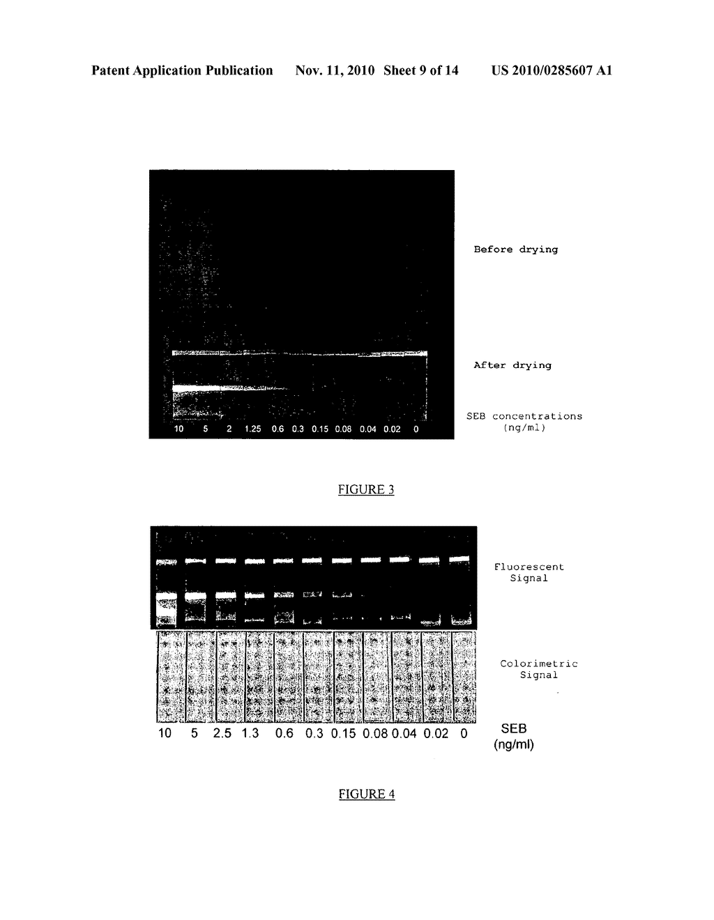 METHOD FOR DETECTING AND QUANTIFYING ANALYTES ON A SOLID SUPPORT WITH LIPOSOME-ENCAPSULATED FLUORESCENT MOLECULES - diagram, schematic, and image 10