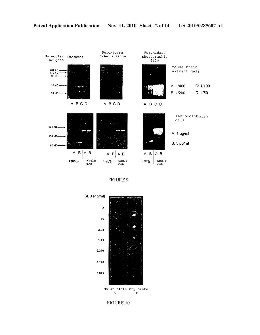 METHOD FOR DETECTING AND QUANTIFYING ANALYTES ON A SOLID SUPPORT WITH LIPOSOME-ENCAPSULATED FLUORESCENT MOLECULES - diagram, schematic, and image 13