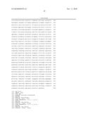 METHOD FOR DETECTING RALSTONIA SOLANACEARUM RACE 3 BIOVAR 2 diagram and image