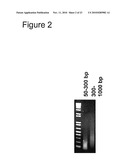 IMMUNOGENIC PEPTIDES OF INFLUENZA VIRUS diagram and image