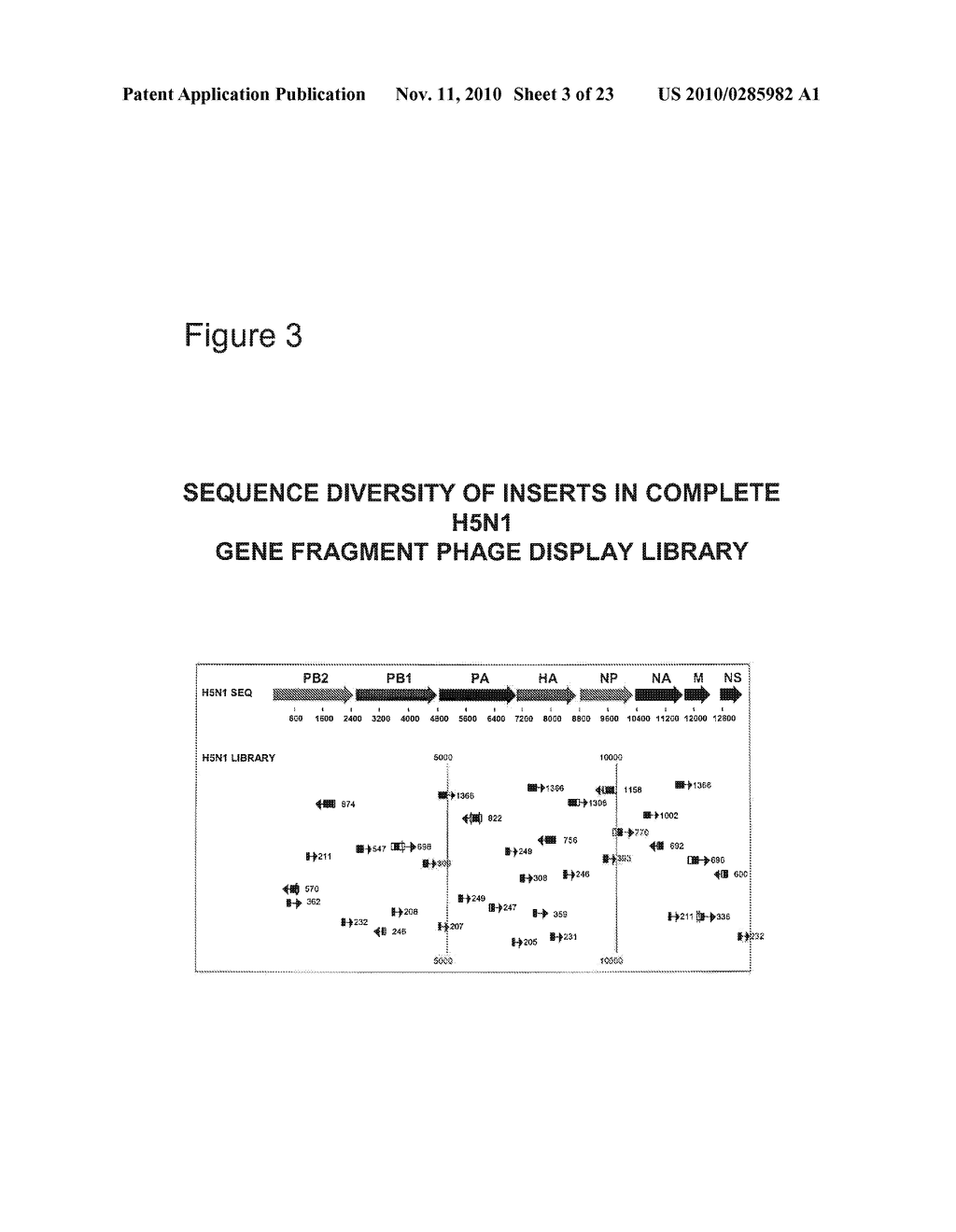 IMMUNOGENIC PEPTIDES OF INFLUENZA VIRUS - diagram, schematic, and image 04