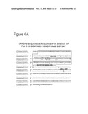 IMMUNOGENIC PEPTIDES OF INFLUENZA VIRUS diagram and image