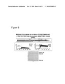 IMMUNOGENIC PEPTIDES OF INFLUENZA VIRUS diagram and image