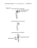 IMMUNOGENIC PEPTIDES OF INFLUENZA VIRUS diagram and image