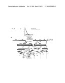 IMMUNOGENIC PEPTIDES OF INFLUENZA VIRUS diagram and image