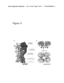 IMMUNOGENIC PEPTIDES OF INFLUENZA VIRUS diagram and image