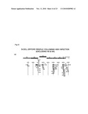 IMMUNOGENIC PEPTIDES OF INFLUENZA VIRUS diagram and image