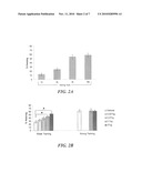 NEURITE OUTGROWTH AS AN ASSAY FOR MEMORY ENHANCING COMPOUNDS diagram and image