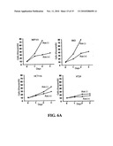 Assessing Chemotherapy Resistance of Colorectal Tumors by Determining Sparc Hypermethylation diagram and image