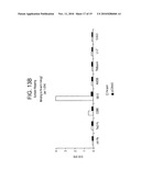 SPECIFIC BINDING AGENTS OF HUMAN ANGIOPOEITIN-2 diagram and image