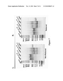 Finger-1 Peptide Analogs of the TGF-Beta Superfamily diagram and image