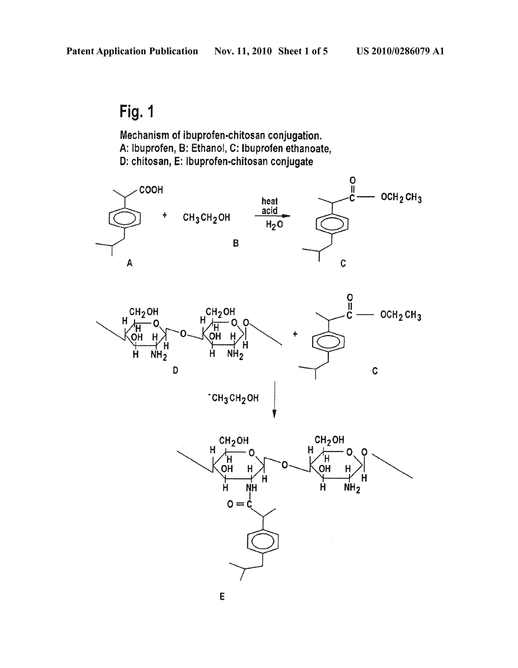 COMPOSITION COMPRISING COVALENT CONJUGATES OF CHITOSAN AND AN ACIDIC DRUG AND PARENTERAL ADMINISTRATION - diagram, schematic, and image 02