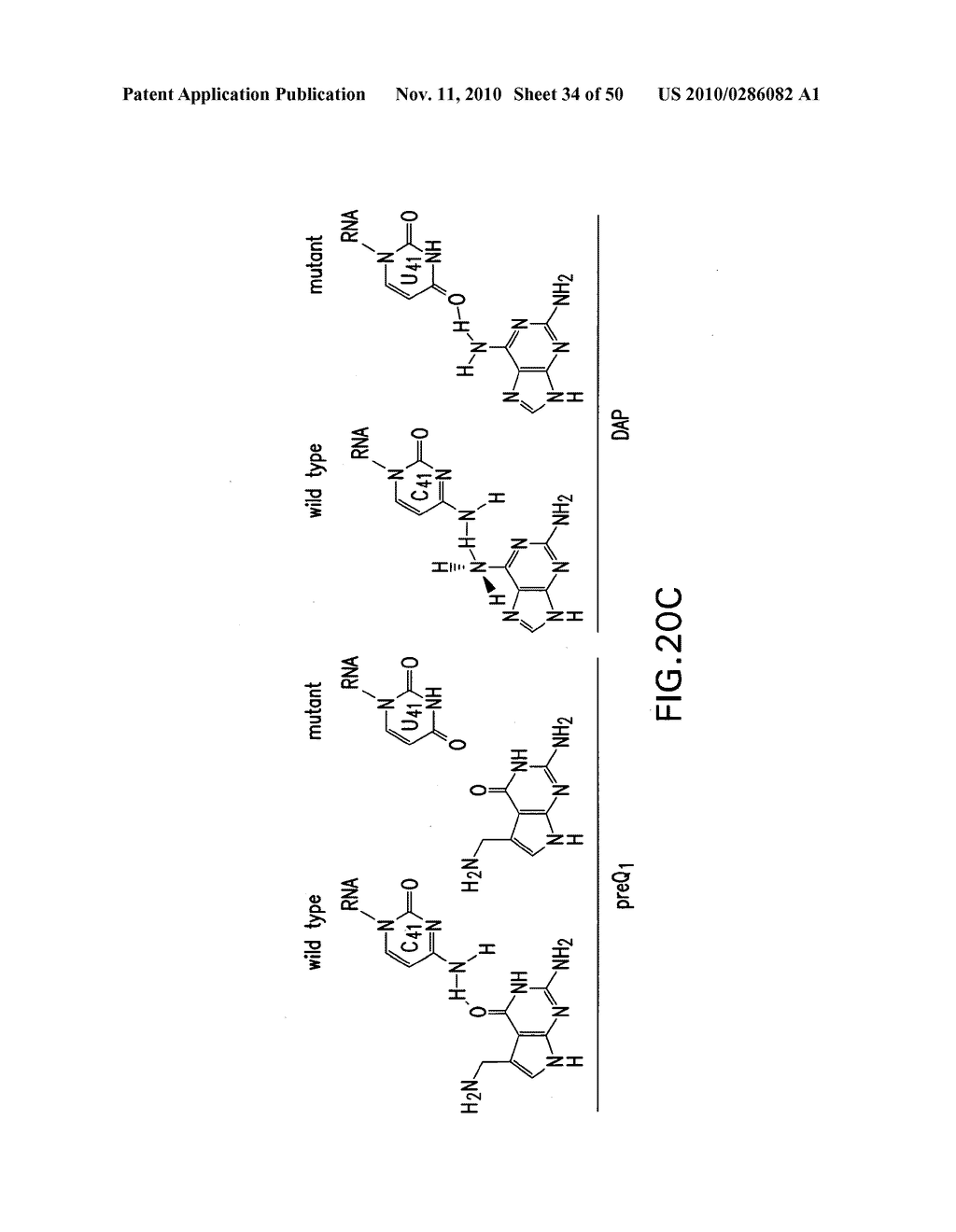 RIBOSWITCHES AND METHODS AND COMPOSITIONS FOR USE OF AND WITH RIBOSWITCHES - diagram, schematic, and image 35