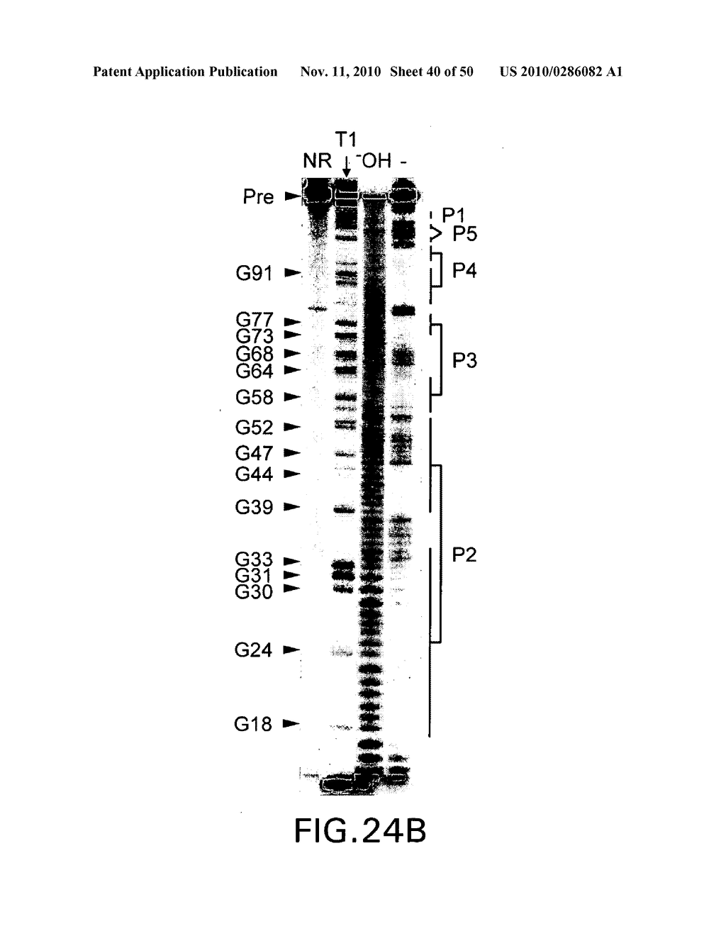 RIBOSWITCHES AND METHODS AND COMPOSITIONS FOR USE OF AND WITH RIBOSWITCHES - diagram, schematic, and image 41