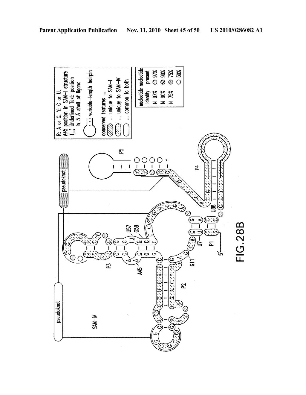 RIBOSWITCHES AND METHODS AND COMPOSITIONS FOR USE OF AND WITH RIBOSWITCHES - diagram, schematic, and image 46