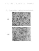 INTRAVENOUS FORMULATION WITH WATER-SOLUBLE COCRYSTALS OF ACETYLSALICYLIC ACID AND THEANINE diagram and image