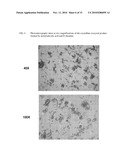 INTRAVENOUS FORMULATION WITH WATER-SOLUBLE COCRYSTALS OF ACETYLSALICYLIC ACID AND THEANINE diagram and image