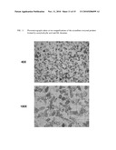 INTRAVENOUS FORMULATION WITH WATER-SOLUBLE COCRYSTALS OF ACETYLSALICYLIC ACID AND THEANINE diagram and image