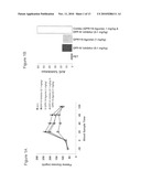 COMBINATION THERAPY FOR THE TREATMENT OF DIABETES AND CONDITIONS RELATED THERETO AND FOR THE TREATMENT OF CONDITIONS AMELIORATED BY INCREASING A BLOOD GLP-1 LEVEL diagram and image