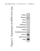 COMBINATION THERAPY FOR THE TREATMENT OF DIABETES AND CONDITIONS RELATED THERETO AND FOR THE TREATMENT OF CONDITIONS AMELIORATED BY INCREASING A BLOOD GLP-1 LEVEL diagram and image