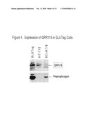 COMBINATION THERAPY FOR THE TREATMENT OF DIABETES AND CONDITIONS RELATED THERETO AND FOR THE TREATMENT OF CONDITIONS AMELIORATED BY INCREASING A BLOOD GLP-1 LEVEL diagram and image