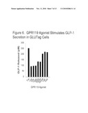 COMBINATION THERAPY FOR THE TREATMENT OF DIABETES AND CONDITIONS RELATED THERETO AND FOR THE TREATMENT OF CONDITIONS AMELIORATED BY INCREASING A BLOOD GLP-1 LEVEL diagram and image