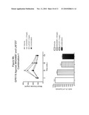 COMBINATION THERAPY FOR THE TREATMENT OF DIABETES AND CONDITIONS RELATED THERETO AND FOR THE TREATMENT OF CONDITIONS AMELIORATED BY INCREASING A BLOOD GLP-1 LEVEL diagram and image