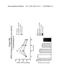 COMBINATION THERAPY FOR THE TREATMENT OF DIABETES AND CONDITIONS RELATED THERETO AND FOR THE TREATMENT OF CONDITIONS AMELIORATED BY INCREASING A BLOOD GLP-1 LEVEL diagram and image