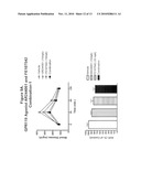 COMBINATION THERAPY FOR THE TREATMENT OF DIABETES AND CONDITIONS RELATED THERETO AND FOR THE TREATMENT OF CONDITIONS AMELIORATED BY INCREASING A BLOOD GLP-1 LEVEL diagram and image