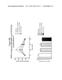 COMBINATION THERAPY FOR THE TREATMENT OF DIABETES AND CONDITIONS RELATED THERETO AND FOR THE TREATMENT OF CONDITIONS AMELIORATED BY INCREASING A BLOOD GLP-1 LEVEL diagram and image