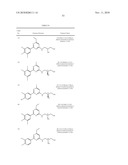 COMBINATION THERAPY FOR THE TREATMENT OF DIABETES AND CONDITIONS RELATED THERETO AND FOR THE TREATMENT OF CONDITIONS AMELIORATED BY INCREASING A BLOOD GLP-1 LEVEL diagram and image