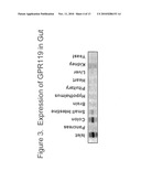 COMBINATION THERAPY FOR THE TREATMENT OF DIABETES AND CONDITIONS RELATED THERETO AND FOR THE TREATMENT OF CONDITIONS AMELIORATED BY INCREASING A BLOOD GLP-1 LEVEL diagram and image