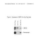 COMBINATION THERAPY FOR THE TREATMENT OF DIABETES AND CONDITIONS RELATED THERETO AND FOR THE TREATMENT OF CONDITIONS AMELIORATED BY INCREASING A BLOOD GLP-1 LEVEL diagram and image