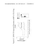 COMBINATION THERAPY FOR THE TREATMENT OF DIABETES AND CONDITIONS RELATED THERETO AND FOR THE TREATMENT OF CONDITIONS AMELIORATED BY INCREASING A BLOOD GLP-1 LEVEL diagram and image