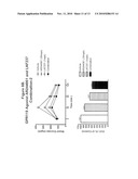 COMBINATION THERAPY FOR THE TREATMENT OF DIABETES AND CONDITIONS RELATED THERETO AND FOR THE TREATMENT OF CONDITIONS AMELIORATED BY INCREASING A BLOOD GLP-1 LEVEL diagram and image