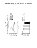 COMBINATION THERAPY FOR THE TREATMENT OF DIABETES AND CONDITIONS RELATED THERETO AND FOR THE TREATMENT OF CONDITIONS AMELIORATED BY INCREASING A BLOOD GLP-1 LEVEL diagram and image