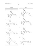 PHENYLACETAMIDE DERIVATIVE diagram and image