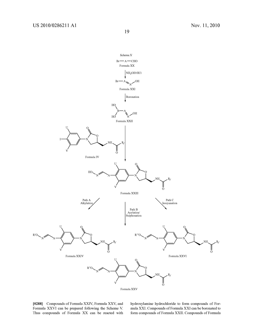 OXAZOLIDINONE DERIVATIVES AS ANTIMICROBIALS - diagram, schematic, and image 20