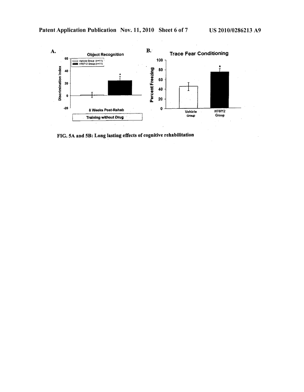 PHOSPHODIESTERASE 4 INHIBITORS FOR COGNITIVE AND MOTOR REHABILITATION - diagram, schematic, and image 07